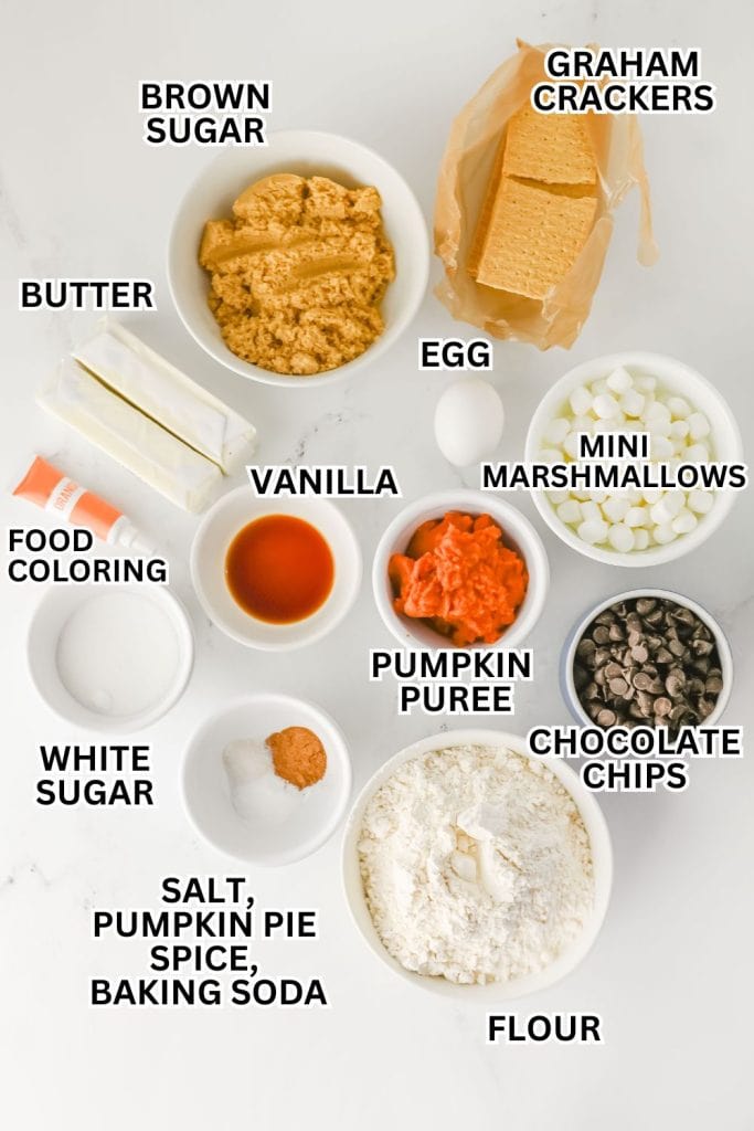 Overhead view of labeled baking ingredients laid out on a white surface, including flour, brown sugar, white sugar, butter, egg, vanilla, pumpkin purée, chocolate chips, mini marshmallows, graham crackers, orange food coloring, and a small bowl with salt, pumpkin pie spice, and baking soda.