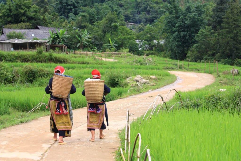 Two women wearing traditional clothing and red headscarves walk barefoot along a winding path through lush green rice fields. Each carries a woven basket on their back, with a backdrop of wooden houses and dense forested hills in the distance.