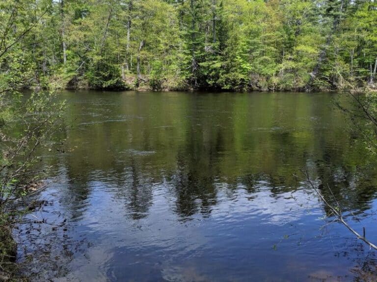 5+ Amazing Saco River Campgrounds Maine