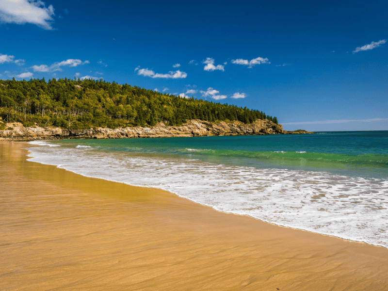 Sandy beach and rocky shore in Acadia. 