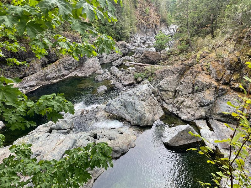 Rocky holes in the river, with forest on either side.