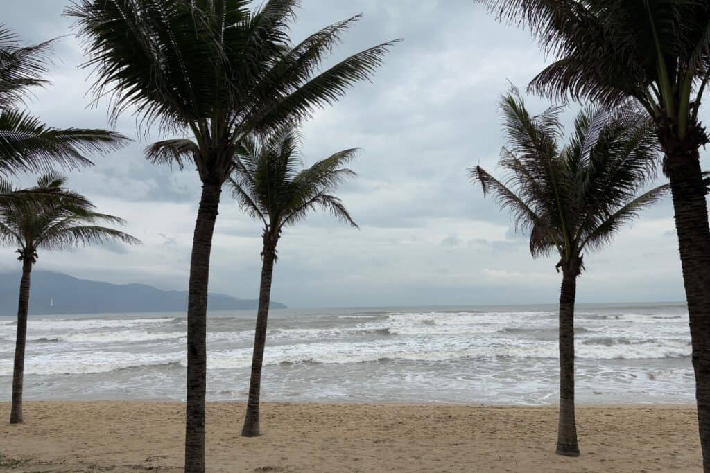 Palm trees lined along a sandy beach with rough ocean waves under a dark cloudy sky. The image captures a windy coastal scene with stormy weather approaching over the water and distant mountains visible on the horizon.