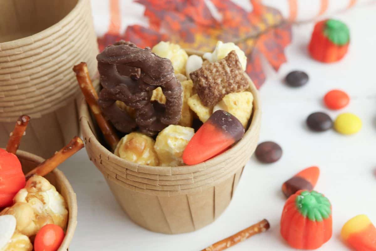 Sweet and Salty Fall Snack Mix Recipe