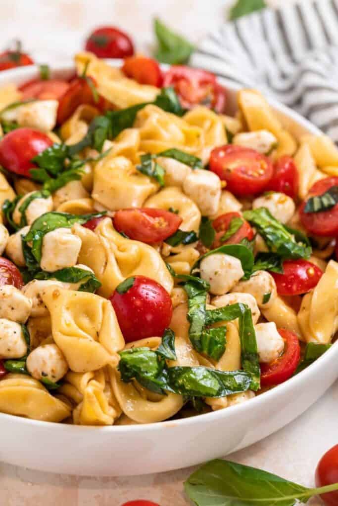 Caprese Tortellini salad with basil, mozzarella balls and cherry tomatoes. 