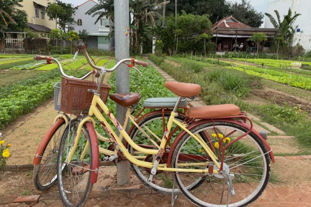 A lush green vegetable garden in Tra Que Village, divided into neat rows of herbs and produce, with a person tending the plants under bright daylight. The scene highlights the village’s organic farming tradition and peaceful rural atmosphere.