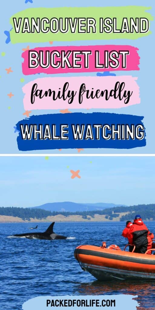 Vancouver Island Bucket List, orca whale & zodiac tour. 