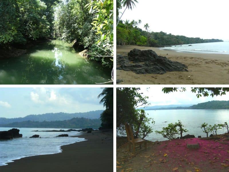 Collage of 4 drake bay pictures of beach, and river with tropical foliage. 