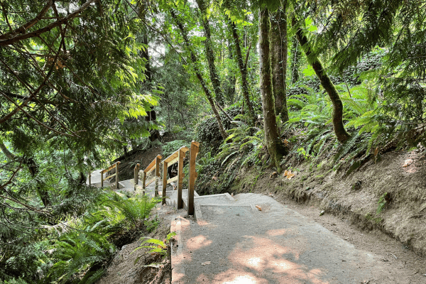 Forested trail and stairs of the Witty's Lagoon Beach Trail.
