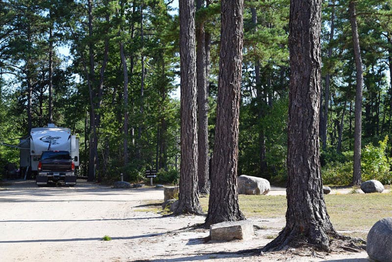 Woodland Acres campsite with RV parked in the trees.